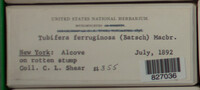 Image Associated With the Occurence